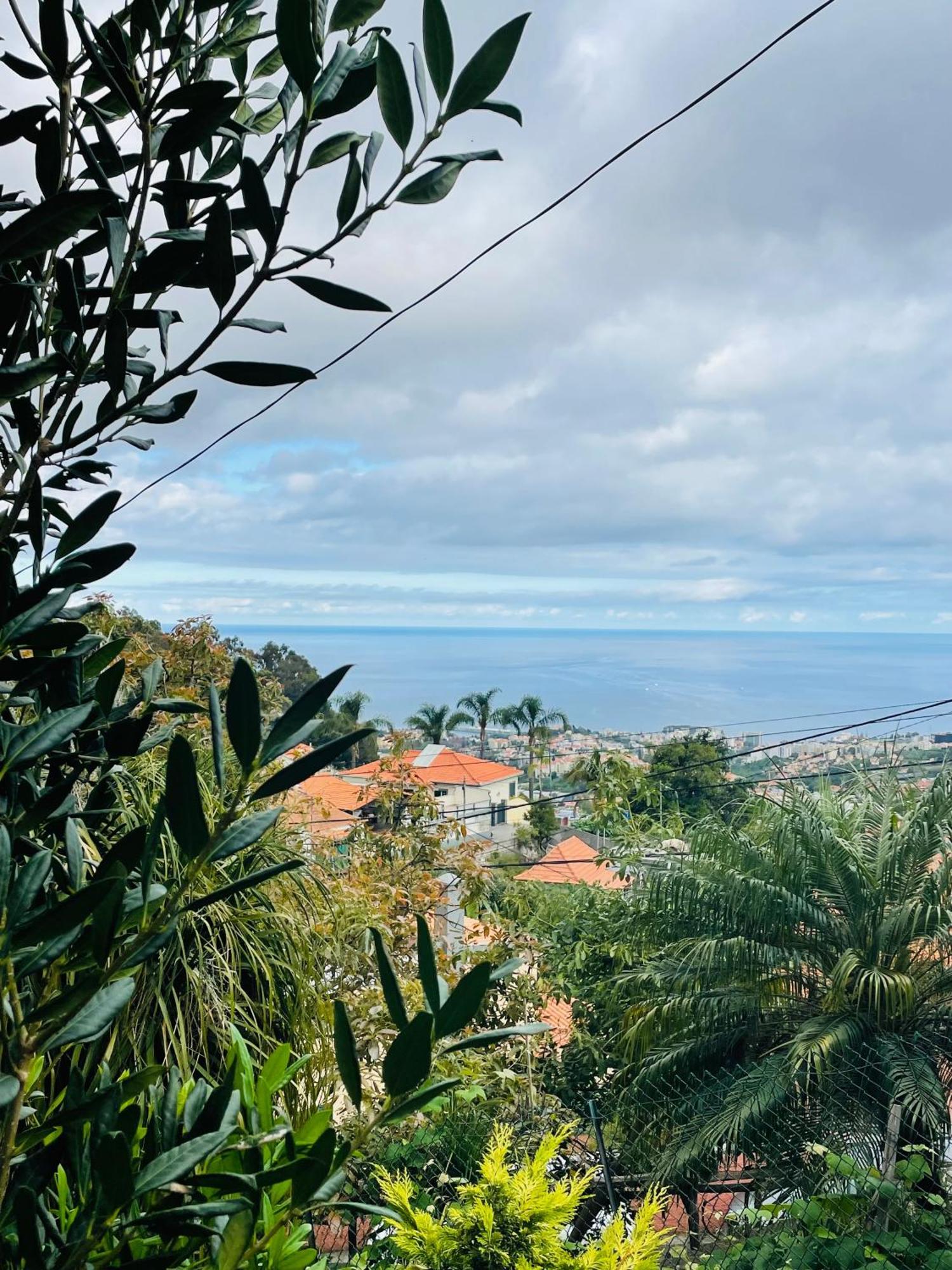 Cozy House Hotell Funchal  Eksteriør bilde