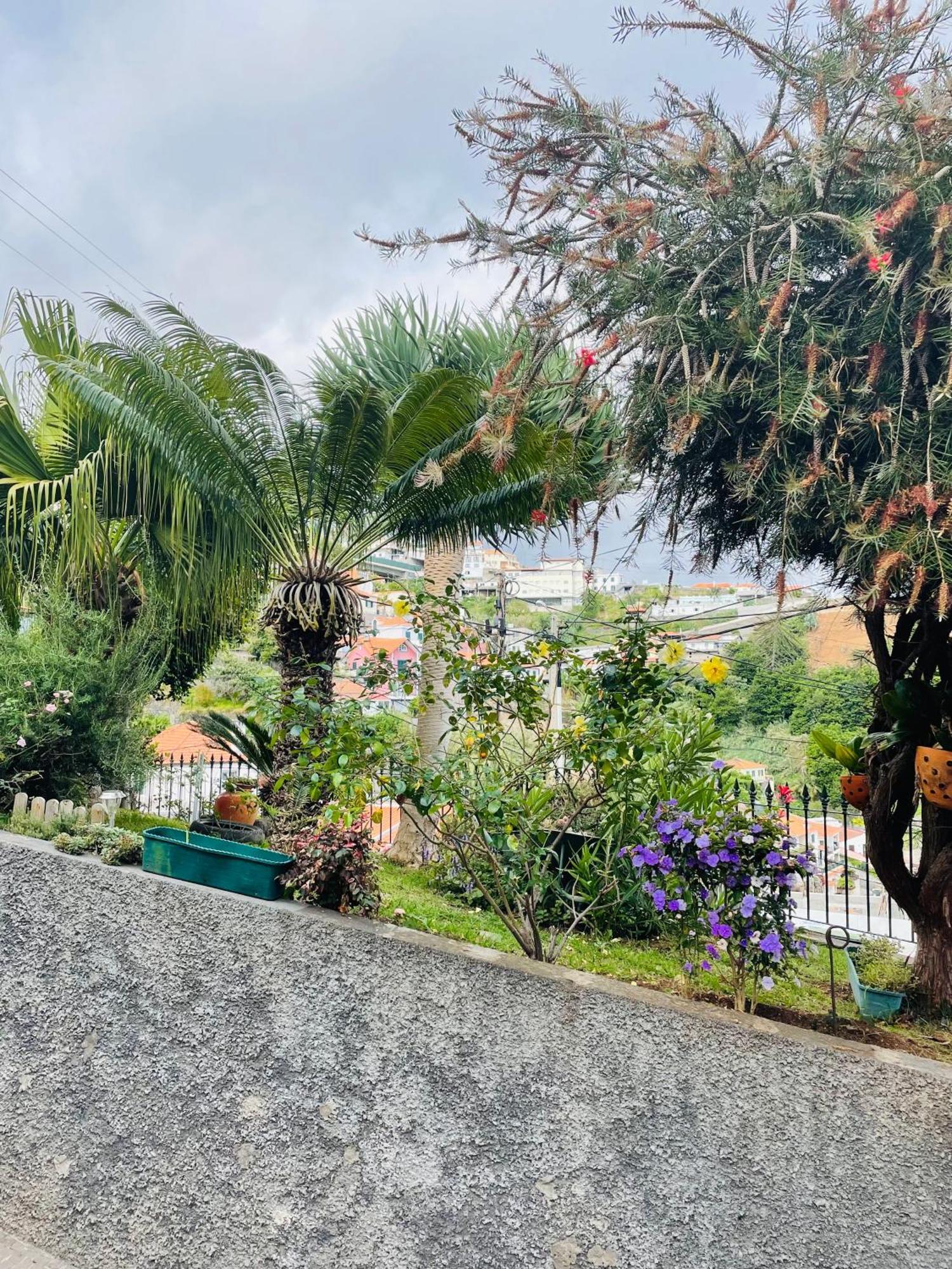Cozy House Hotell Funchal  Eksteriør bilde