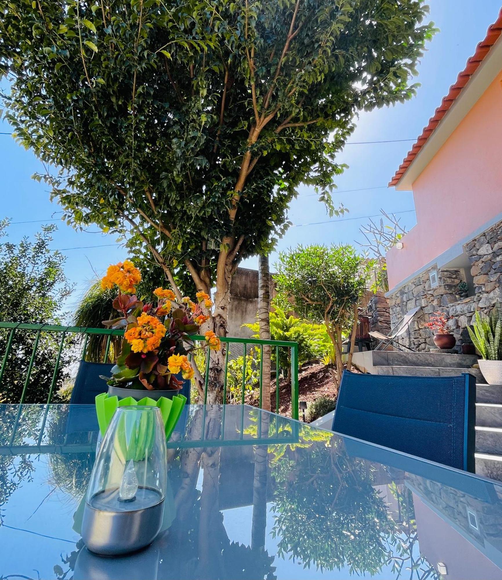 Cozy House Hotell Funchal  Eksteriør bilde